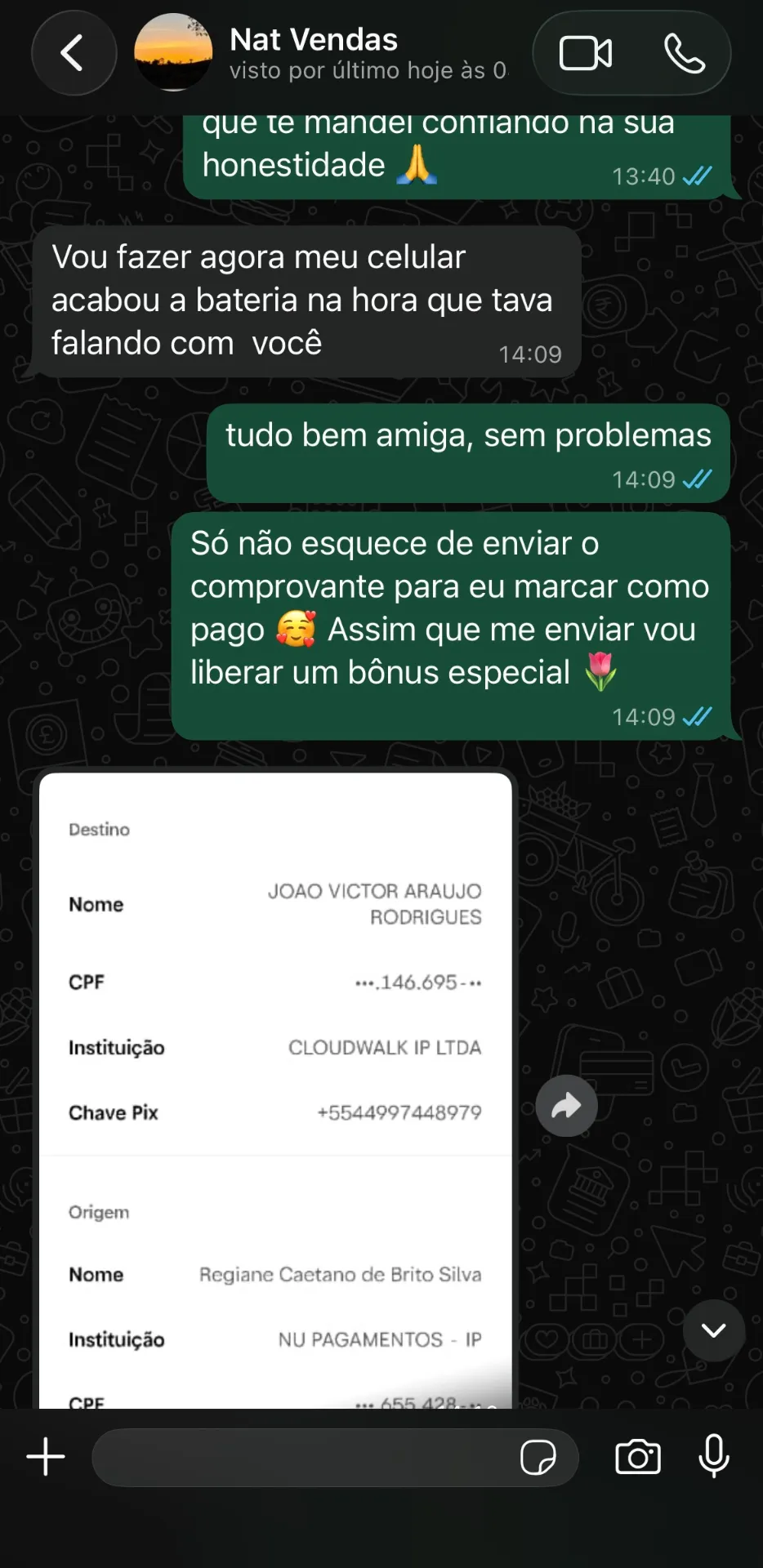 Print de conversa de cliente 4